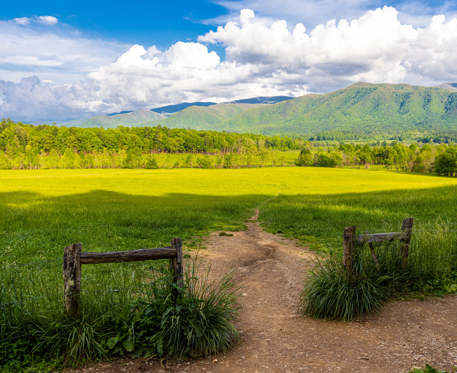 Cades Cove meadow surrounded by mountains
