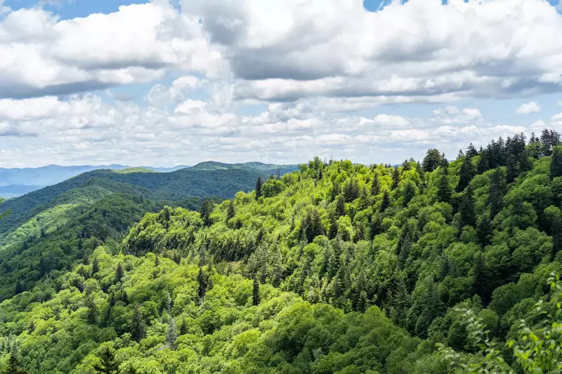 Nature Landscape of the Smokey Mountains called Smokies and dramatic clouds and trees