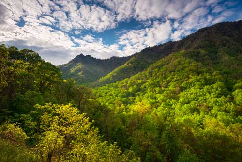 bright and pretty picture of the smoky mountains